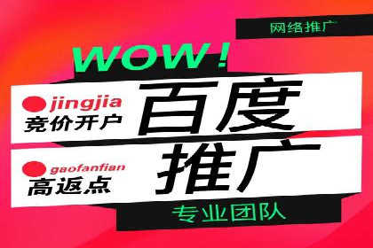 大型企业SEM外包实战案例